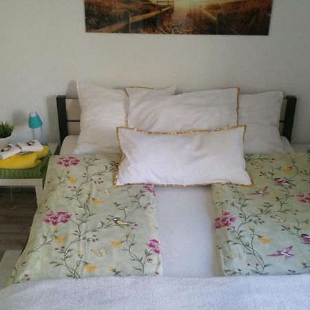 Apartmán Zacisze Starowki Stary Toruń Exteriér fotografie